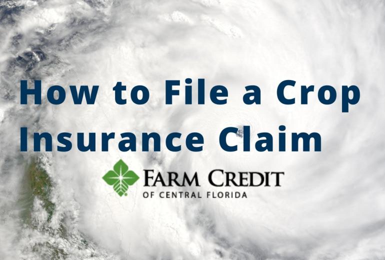 How to File a Crop Insurance Claim Farm Credit of Central Florida